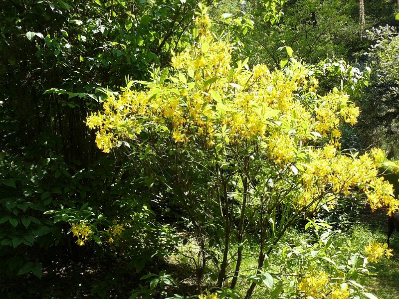 2008 05 Séjour à Martel 18